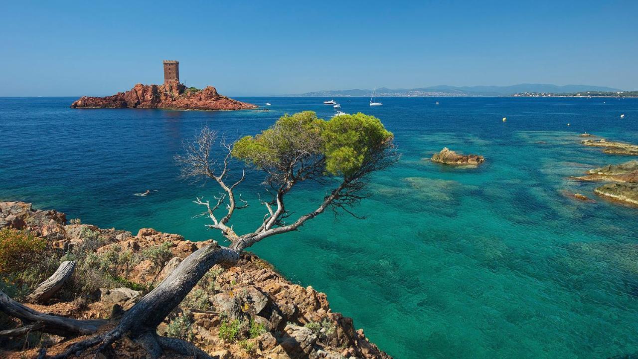 Appartement Zen A Frejus Avec Jardin, Piscine, Tennis, Proche Mer Exteriör bild